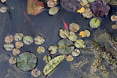 《暗黑4》狼德玩家打出单击18亿点伤害 靠Bug触发